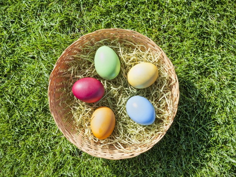 Rewe, Edeka und Co.: Eier-Krise ausgerechnet zu Ostern? Kunden ahnen BÃ¶ses