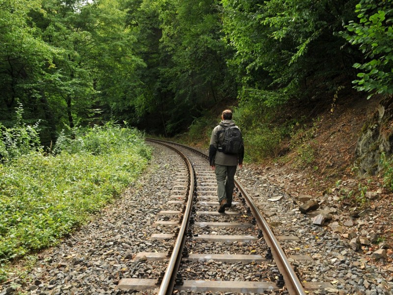 Harz: Wanderer ist komplett baff â€“ â€žNoch nie erlebtâ€œ