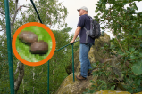 Zeckenalarm im Harz