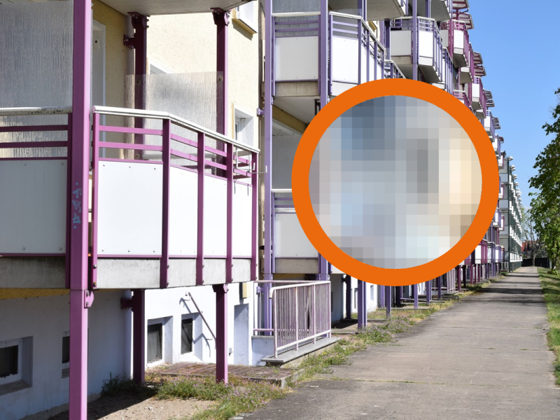 Tierheim Gifhorn: Schockierende Entdeckung auf Balkon! „Wie kann man nur so sein?!“
