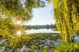 Am Juessee in Herzberg am Harz ruinieren Einzelne das Naturidyll. (Archivbild)