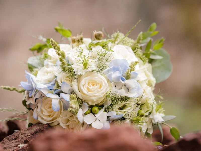 Harz: Hochzeit eskaliert völlig! Polizei rückt mit Großaufgebot an