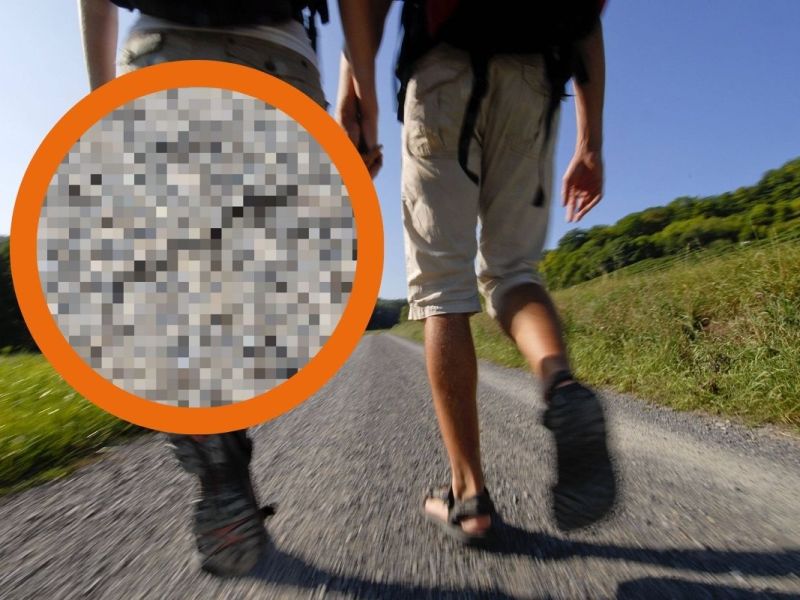 Harz: Frau macht irre Entdeckung auf Wanderung! „Ist giftig“