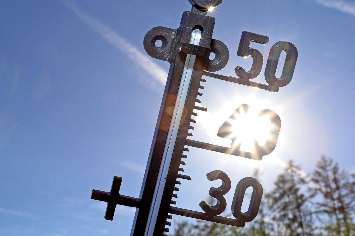 Wetter-in-Niedersachsen-Endlos-Hitze-droht-Experte-mit-be-ngstigender-Sommer-Prognose