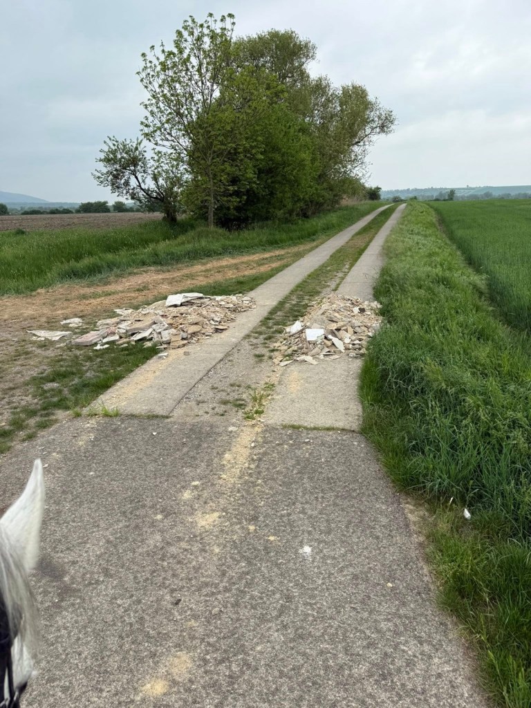 Bauschutt auf einem Feldweg im Harz