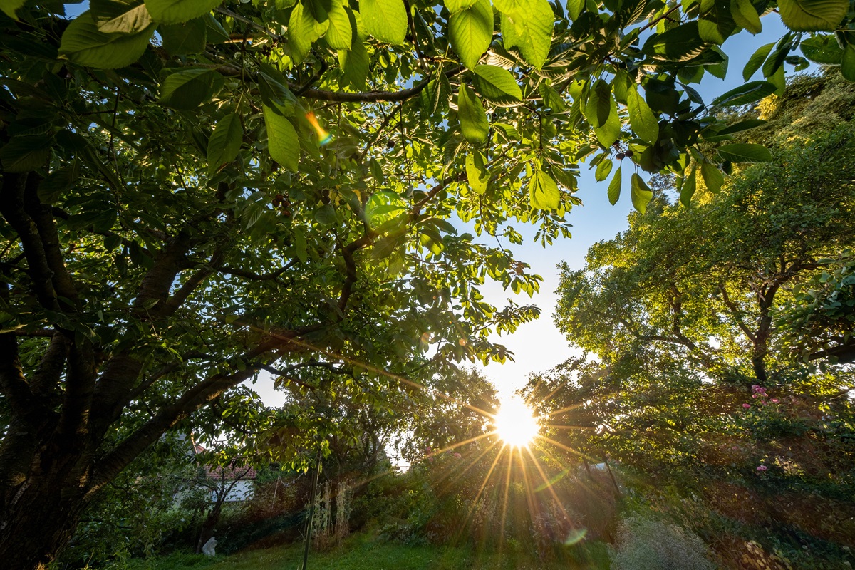 Wetter-in-Niedersachsen-Juni-Prognose-macht-sprachlos-Man-mag-es-kaum-glauben-