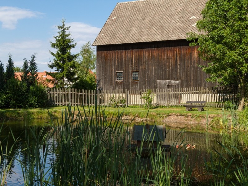 Harz: Anwohner machen alarmierende Entdeckung im Teich! „Kaum zwei Wochen alt“