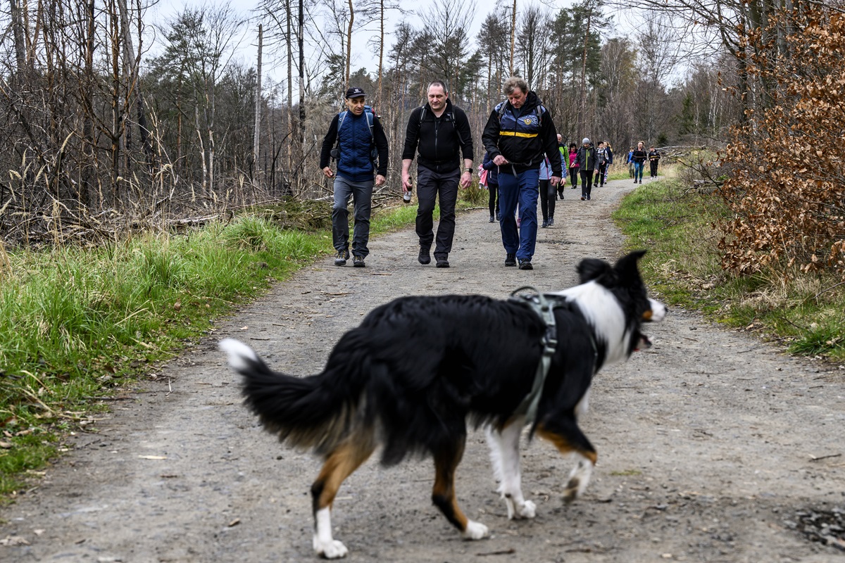 Harz-T-ckische-Gefahr-lauert-Oft-nicht-mehr-zu-retten-