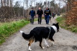 Wanderer im Wald mit einem Hund
