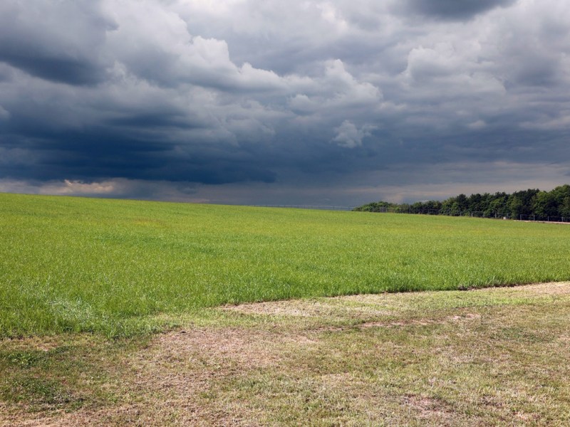 Wetter in Niedersachsen: Hitze-Rätsel! Experten rudern plötzlich zurück – „Es bleibt spannend“