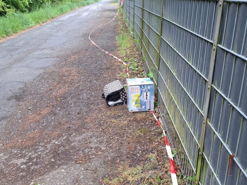 Tierheim Salzgitter: Mitarbeiter platzen vor Wut! „Was stimmt mit euch nicht?“