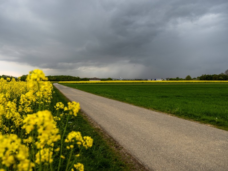 Wetter in Niedersachsen: Experte mit heftiger Prognose! „Kommt nicht allein“