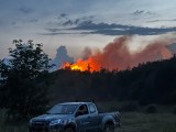 Feuer im Harz.