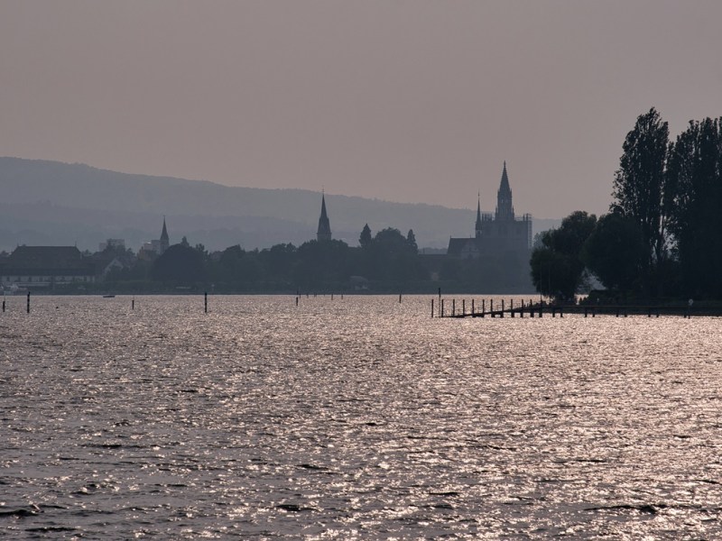 Krokodil-Alarm am Bodensee – Polizisten können nicht fassen, was sie da sehen