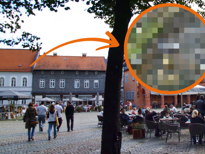 Harz: Anwohner bei diesem Anblick fassungslos – „Was stimmt mit den Menschen nicht?“