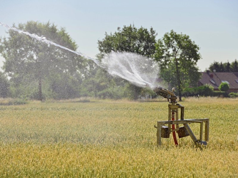Wasser-Verbot! Stadt Braunschweig zieht die Hitze-Reißleine – was du jetzt wissen musst