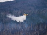 Im Harz ist ein Feuer ausgebrochen. Die Einsatzkräfte setzen alles daran, die Flammen einzudämmen. (Archivbild)