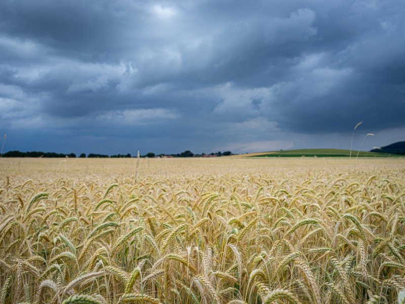 Wetter in Niedersachsen: Meteorologe völlig baff! „Ne geile Nummer“