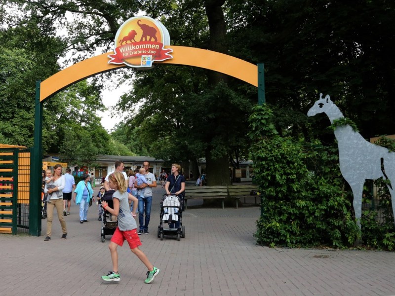 Zoo Hannover: Frau ist nach 30 Jahren wieder zu Besuch – was sie am Eingang erwartet, macht sie sprachlos