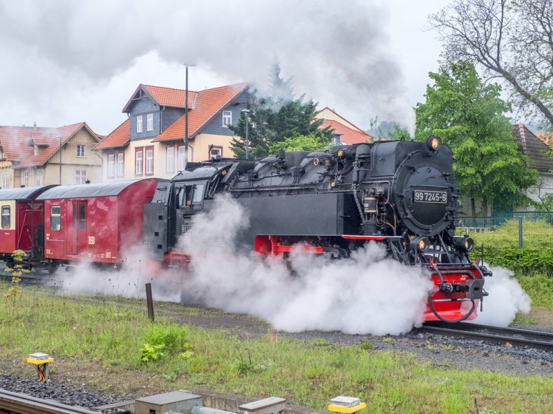Beliebte Attraktion im Harz greift hart durch! Jetzt soll es dicke Strafen hageln
