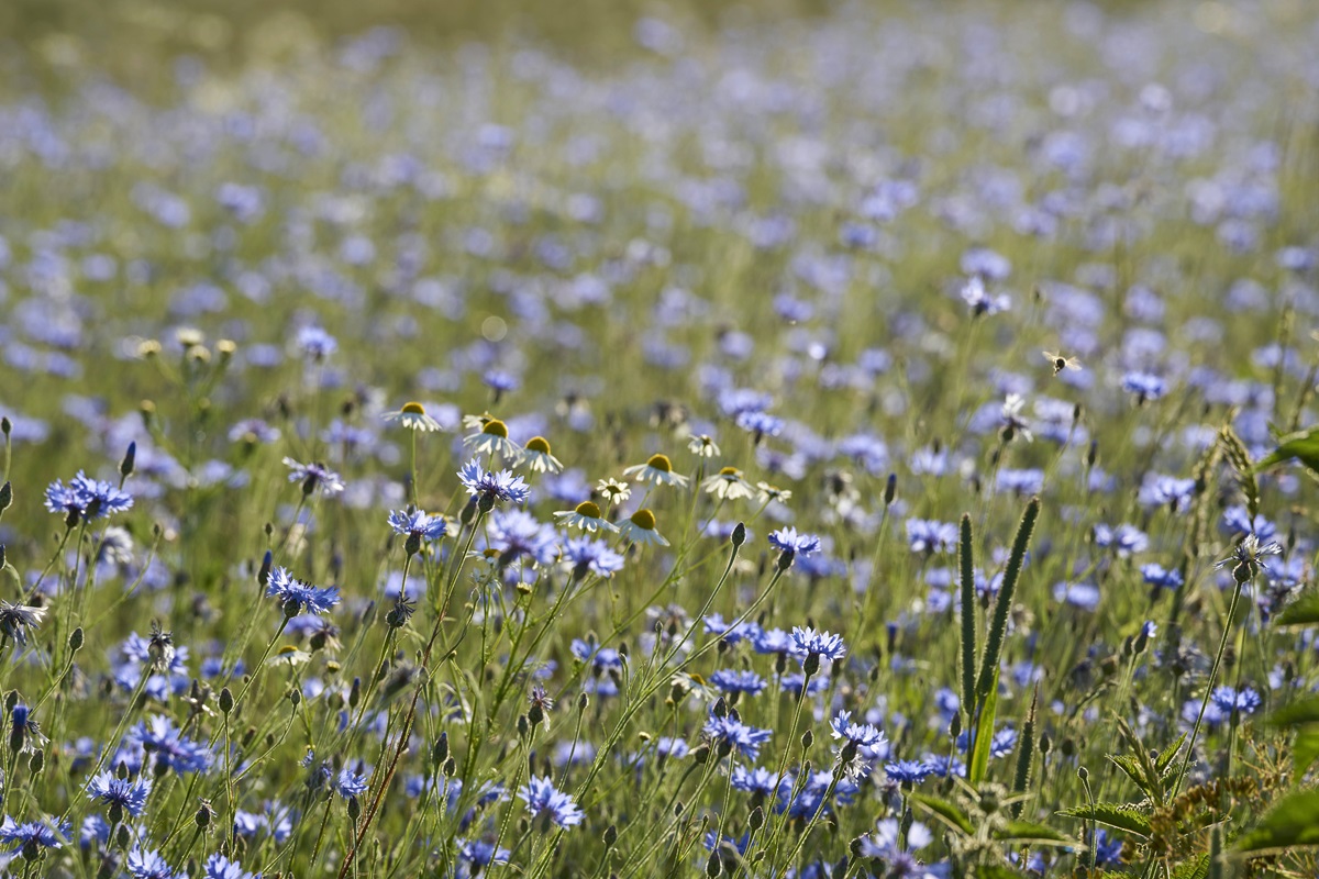 wetter thüringen