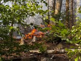 Die Flammen im Harz lodern immer wieder auf.