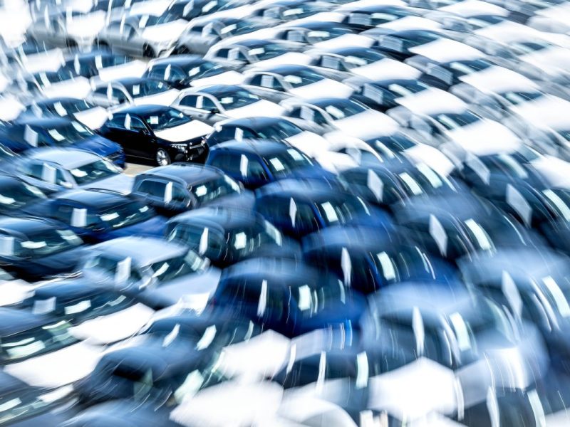 Gift-Alarm im VW-Hafen! Mitarbeiter entdecken Todes-Spinnen