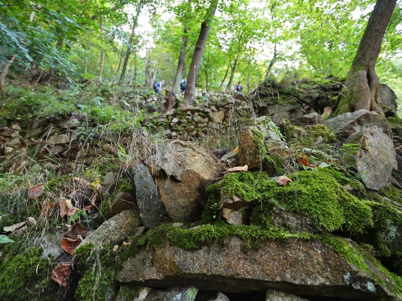 Harz-Wanderer begeben sich leichtsinnig in Gefahr – „Suchen den Kick“