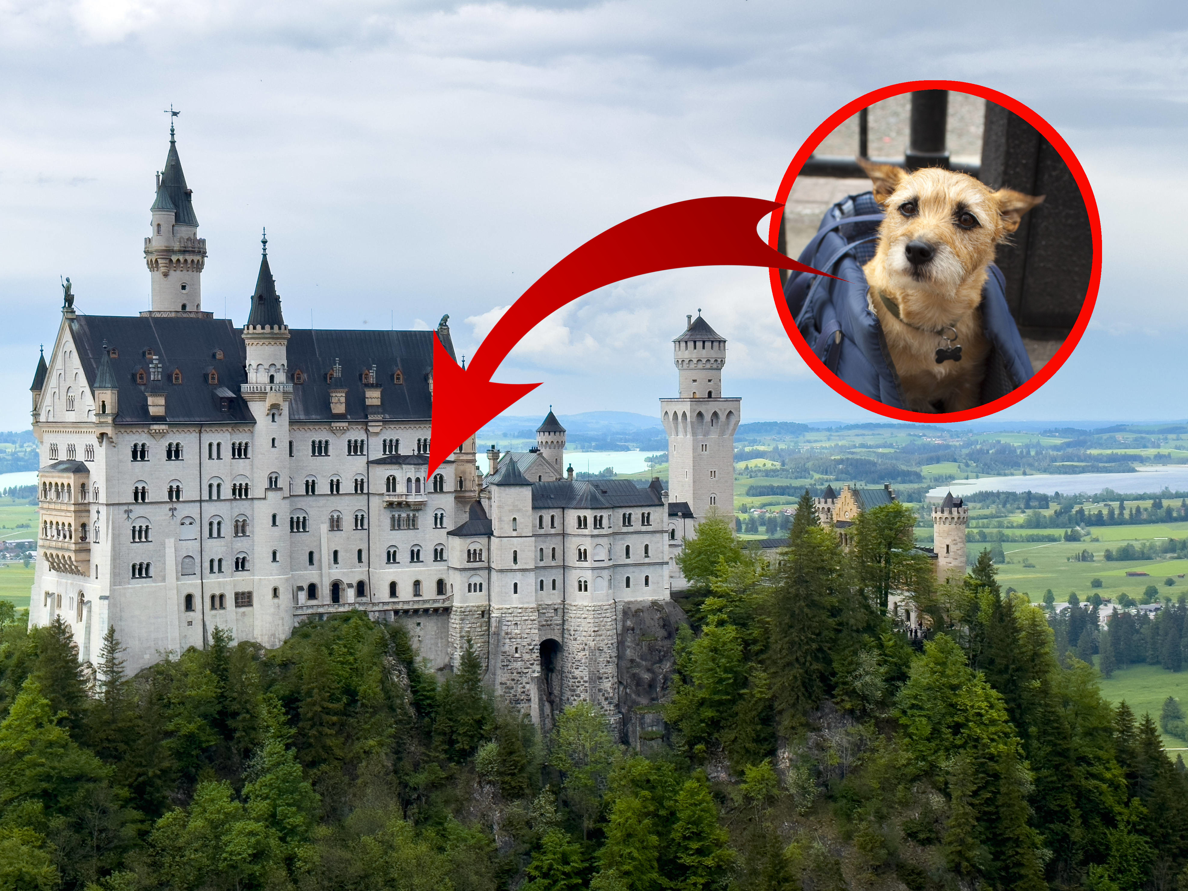 Frau-sperrt-Hund-in-Schlie-fach-ein-damit-sie-in-Ruhe-Schloss-Neuschwanstein-besichtigen-kann