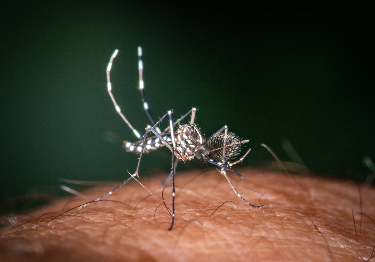 gef-hrliches-virus-klopft-in-deutschland-an-so-gro-ist-die-gefahr-f-r-niedersachsen