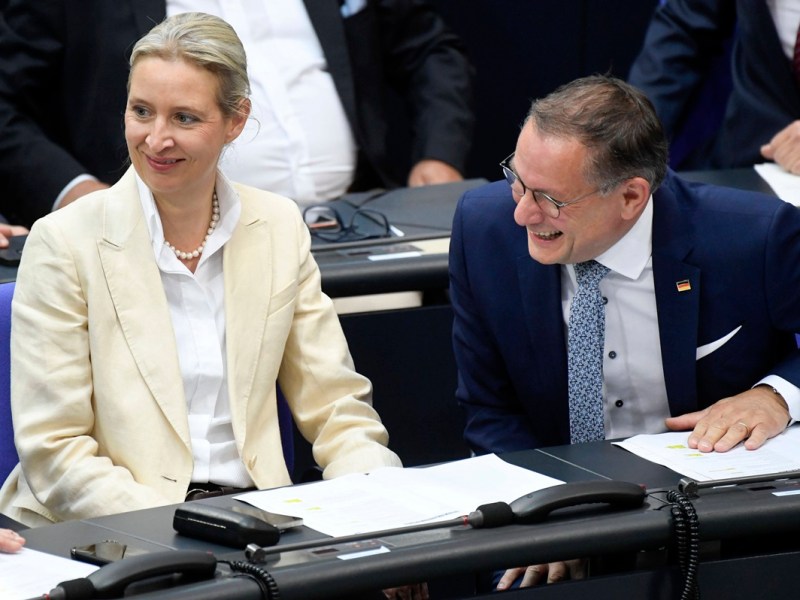 AfD hat immer mehr Stammwähler – komme, was wolle