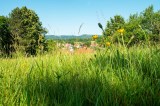 Harz Landschaft