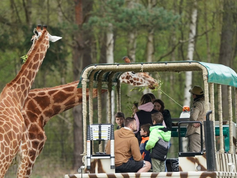 Achterbahn-Schock im Serengeti Park – „Es tut uns unendlich leid!“