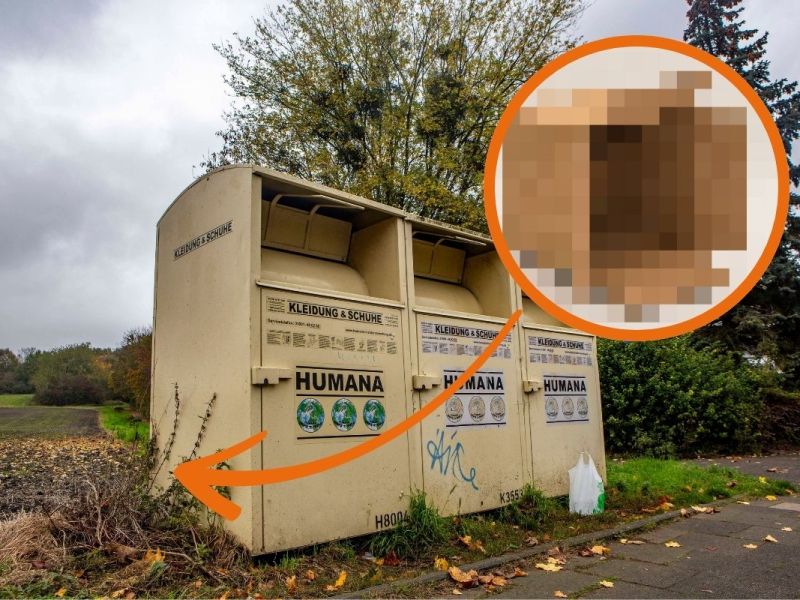Karton an Altkleidercontainer in Salzgitter abgestellt – der Inhalt macht „fassungslos“